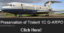 Save the Trident Group logo
